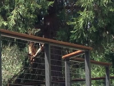 Post-to-Post Suppport Rail